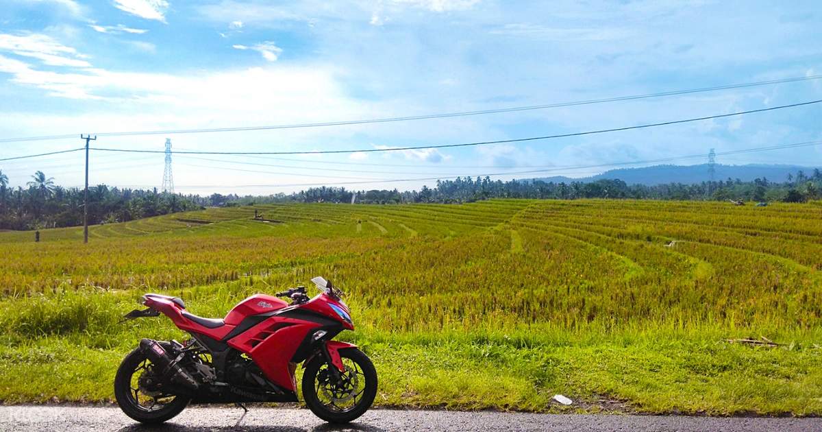 Up to 35 Off Bali  Scooter  Rental  Klook Philippines